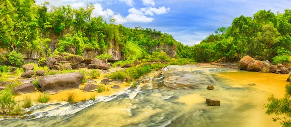 Річка в джунглі — стокове фото