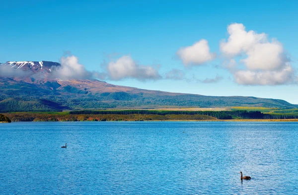山下湖新西兰 — 图库照片