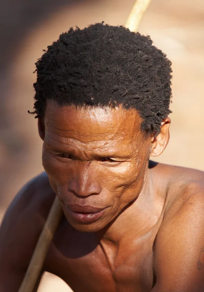 Портрет bushman мисливець — стокове фото