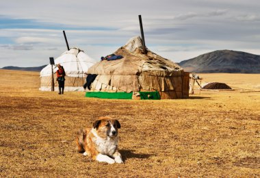 Yurta in mongolian desert clipart