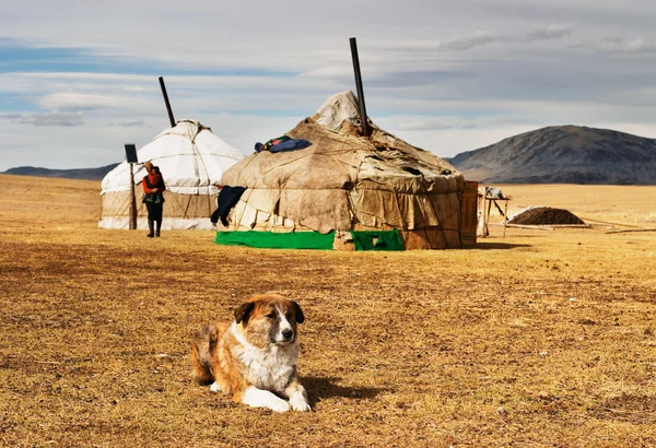 モンゴルの砂漠で yurta — ストック写真