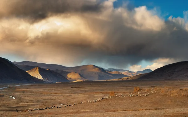 Krajobraz Tybetu — Zdjęcie stockowe
