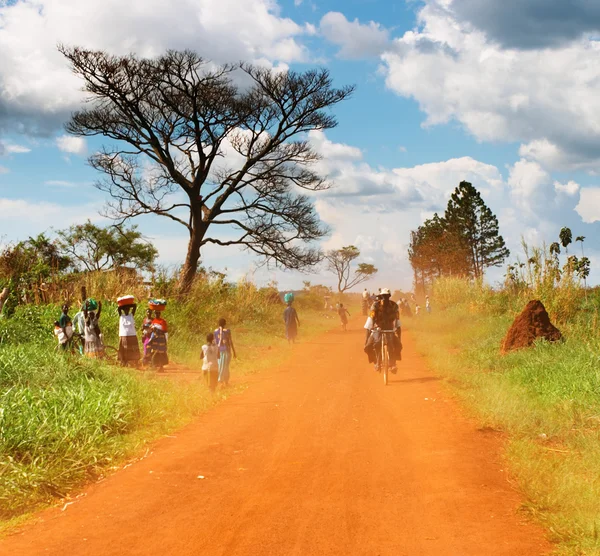 Afrikanska landsbygden — Stockfoto
