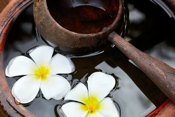 stock image Wooden scoop and flowers