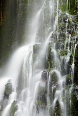 Matai Falls, New Zealand clipart