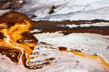 Hot spring, Waiotapu geothermal area, New Zealand clipart