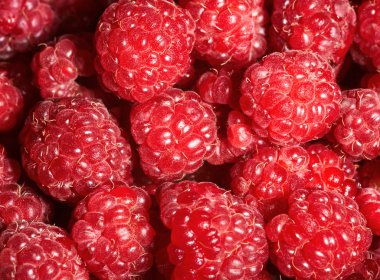 Raspberry background clipart