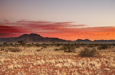 Namibian landscape clipart