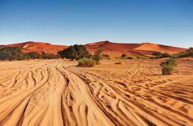 Namib Desert clipart