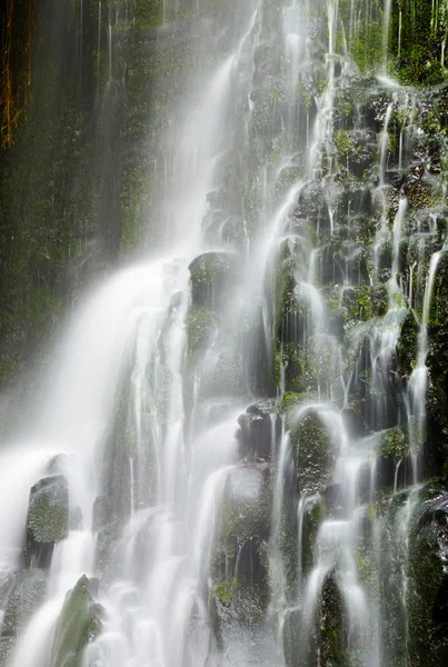 Matai Falls, Nova Zelândia — Fotografia de Stock