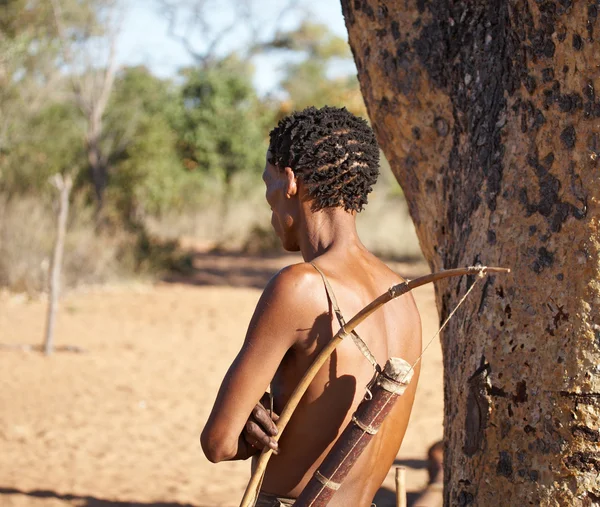 Мисливець Bushman — стокове фото