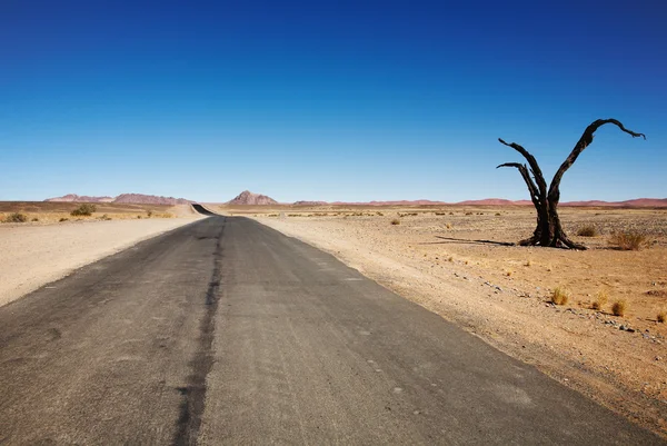 Namib deserto — Foto Stock