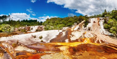 Hot spring, New Zealand clipart