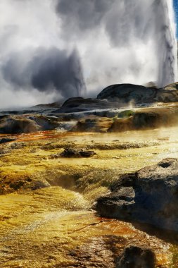 Pohutu Geyser, New Zealand clipart