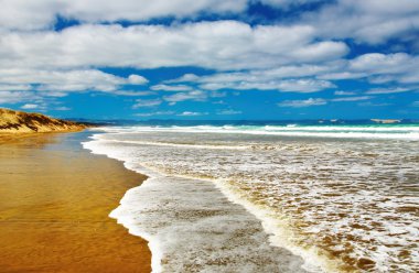 Ninety Mile Beach, New Zealand clipart