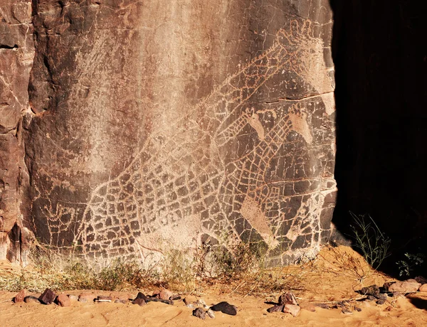 Rock gravure in de Saharawoestijn, Algerije — Stockfoto