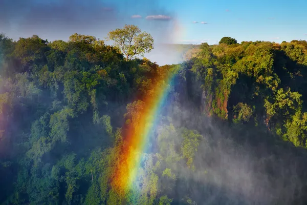 Rainbow over Victoria Falls — Stock Photo, Image