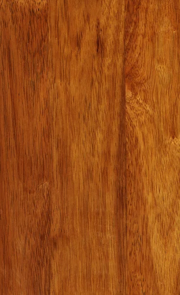 Textura de madeira Hevea — Fotografia de Stock