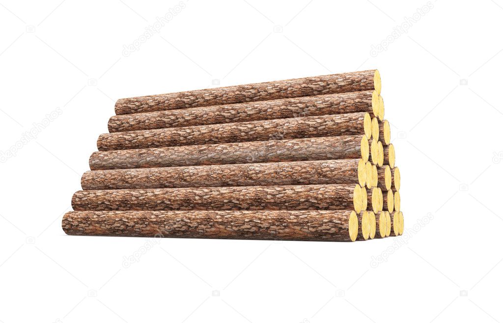 Stack of pine logs