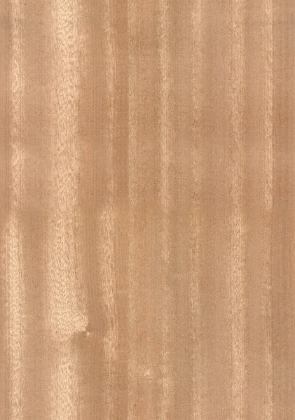 Texture bois de noix — Photo