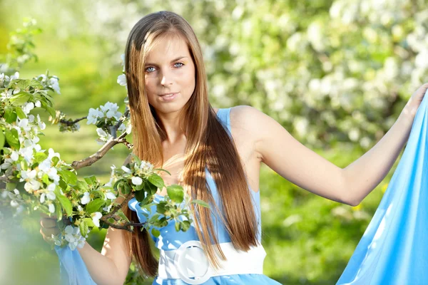 Bela mulher vestindo vestido azul sobre pomar primavera — Fotografia de Stock