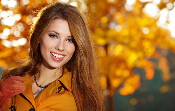 Schöne elegante Frau steht im Herbst in einem Park Stockbild