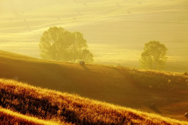 典型的なトスカーナの風景のビュー — ストック写真