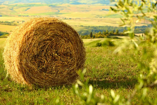 干し草の俵とトスカーナの風景 — ストック写真