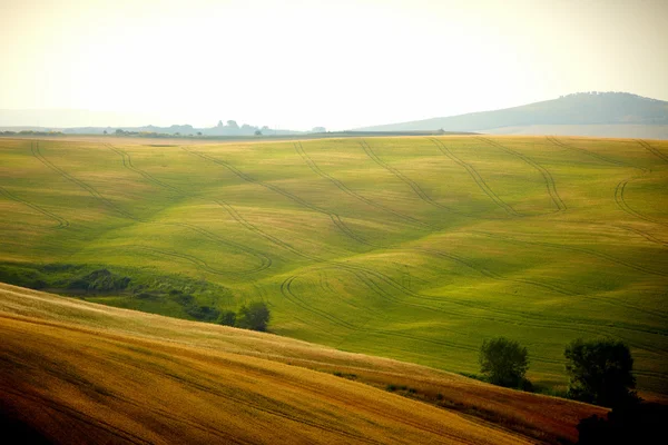 Widok typowy krajobraz Toskanii — Zdjęcie stockowe