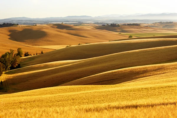 Krajina Krajina v regionu Toskánsko, Itálie — Stock fotografie