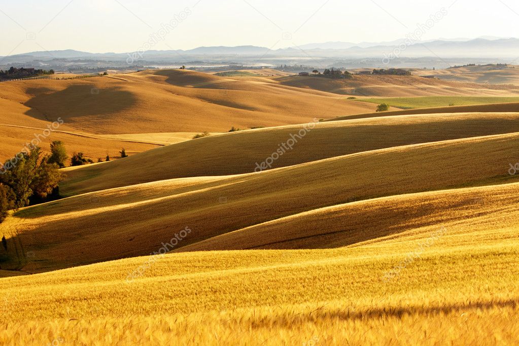 Countryside landscape in Tuscany region of Italy