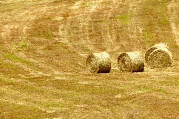 Tuscany Landscape With Hay Bales — Stock Photo, Image