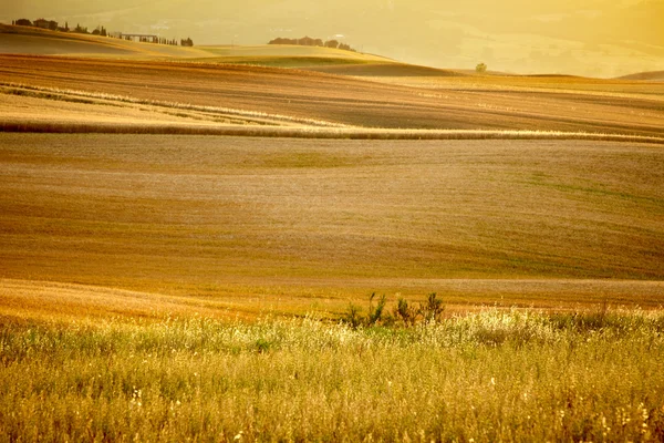 Scenic view of Tuscany landscape, Italy . Nature background — Stock Photo, Image