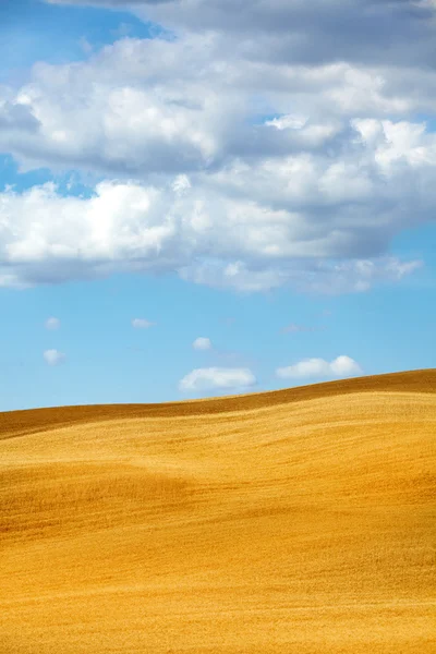 Hügel der Toskana — Stockfoto