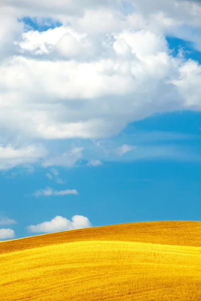 Heuvelachtige landschap in Toscane — Stockfoto