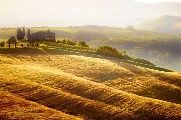 Paisaje en Toscana al atardecer en verano — Foto de Stock