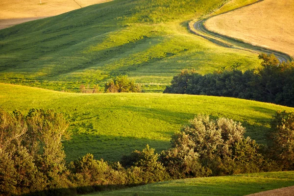 Paesaggio in Toscana al tramonto in estate — Foto Stock