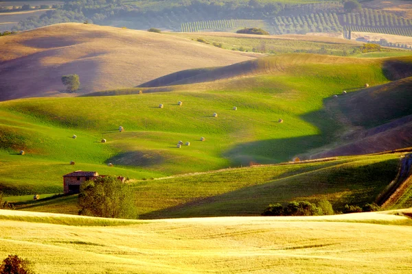 Paesaggio in Toscana al tramonto in estate — Foto Stock