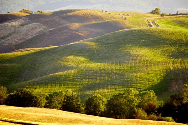 Landschap in Toscane bij zonsondergang in de zomer — Stockfoto
