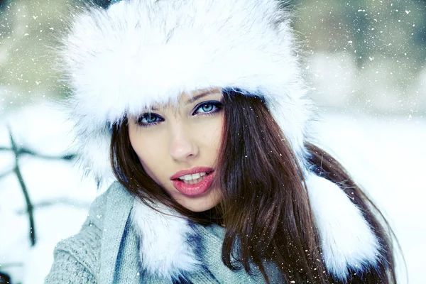 Schönheit Frau in der Winterlandschaft — Stockfoto