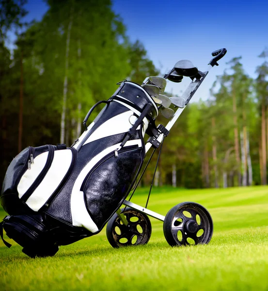 Neue Golfschläger auf einem wunderschönen Golfplatz — Stockfoto