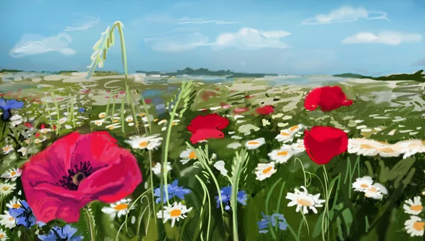 Field of poppies - illustration — Stock Photo, Image