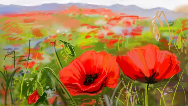 Field of poppies - illustration — Stock Photo, Image