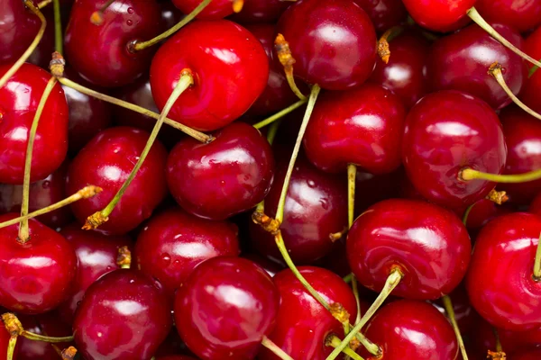 Cherries background — Stock Photo, Image
