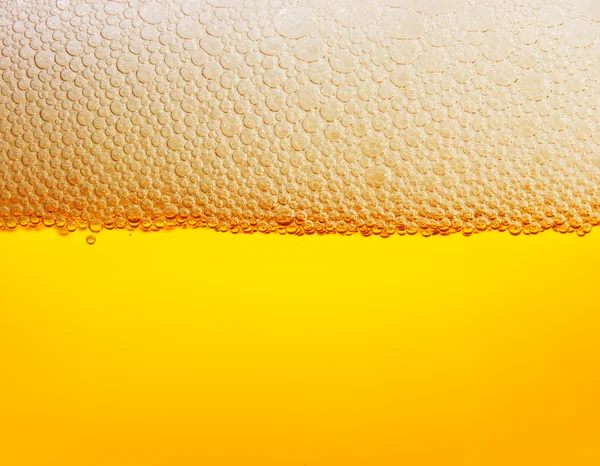 stock image Beer bubbles