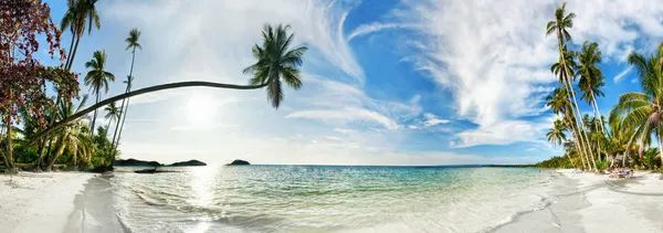 Praia tropical exótica . Imagem De Stock
