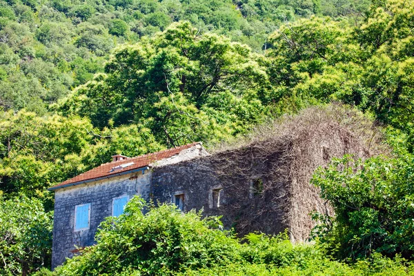 Старий будинок у горах — стокове фото