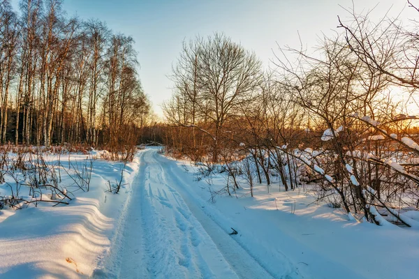Zonsondergang in de winter veld — Stockfoto