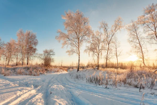 Puesta de sol en campo de invierno —  Fotos de Stock