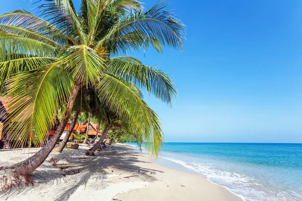 Exotischer tropischer Strand. — Stockfoto